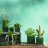 Planter 8Cm - Quadro