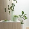 Vase Ø21cm Hints of Mint - Terra Spice
