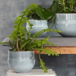 Planter Ø18,6cm Denim – Mabou