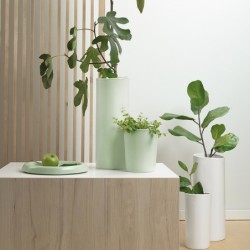 Taça Ø29cm Verde Claro - Terra Spice
