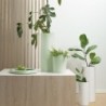 Bol Ø29cm Verde Claro - Terra Spice