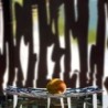 Centrepiece - Bark