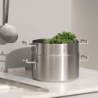 Steamer Basket 24cm - Convivio