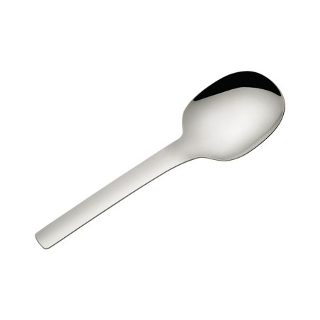 Rice and Vegetable Spoon - Tibidabo