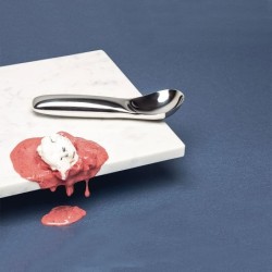 Ice Cream Scoop - Koki