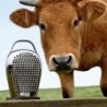 Rallador - Cheese Please