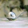 Olive Oil Taster - Taste-Huile
