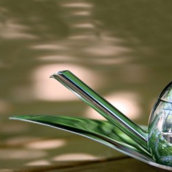 Olive Oil Taster - Taste-Huile