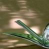 Olive Oil Taster - Taste-Huile