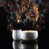 Scented Candle Hmm - The Five Seasons