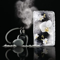 Nebulizador de Fragancias Brrr - The Five Seasons