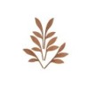 Fragrance Diffuser Leaves Ahhh - The Five Seasons
