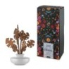 Leaf Fragrance Diffuser Hmm - The Five Seasons
