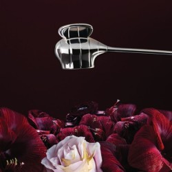 Candle Snuffer Bzzz - The Five Seasons