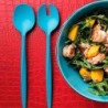 TALHERES PARA SALADA MY FUSION