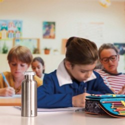 Thermal Travel Bottle 330ml Silver - Energy