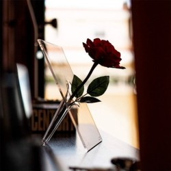 Single Stem Vase - Si Single