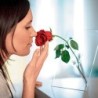 Single Stem Vase - Si Single