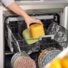 Leak-Proof Shallow Container 450ml Mango Yellow - Eco Store&More