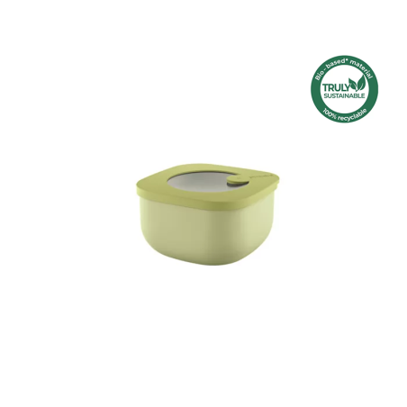 Leak-Proof Shallow Container 450ml Avocado Green - Eco Store&More
