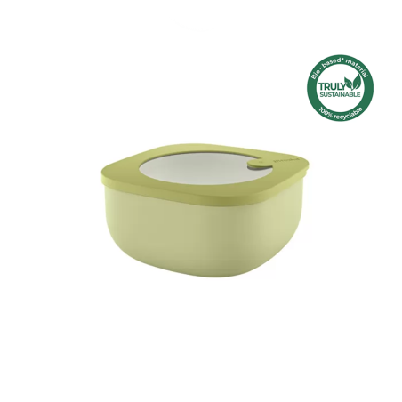 Leak-Proof Shallow Container 975ml Avocado Green - Eco Store&More