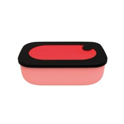 Lunch Box with Case 900ml Red - Store&Go