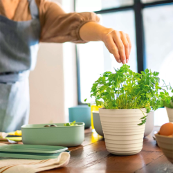 Vaso para Plantas Branco - Tierra