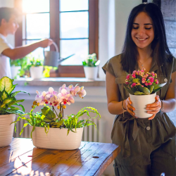 VASO PARA PLANTAS BRANCO