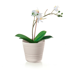 Vaso para Plantas Toupeira - Tierra