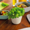 VASO PARA PLANTAS ARGILA