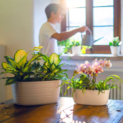 VASO PARA MULTIPLAS PLANTAS GRANDE ARGIL