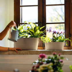 VASO PARA MULTIPLAS PLANTAS GRANDE ARGIL