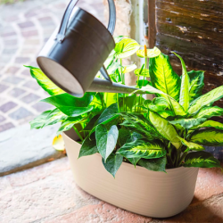Large Multiple Plant Pot Holder Clay - Tierra