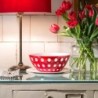 Taça Ø25cm Vermelho/Branco - Le Murrine