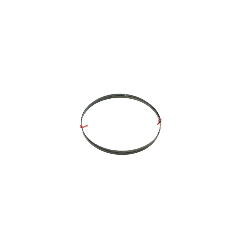 Hoja de sierra de cinta para DW738 DeWalt (2095 x 6mm)