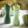 Salt and Pepper Mill Set 15cm Water - Tahiti