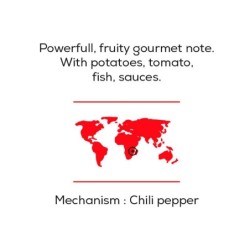 Spice Cube  Chili