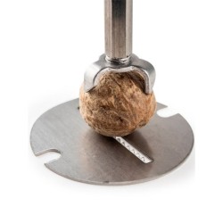 Spice Cube nutmeg