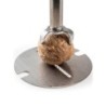 Spice Cube nutmeg
