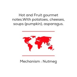 Spice Cube nutmeg