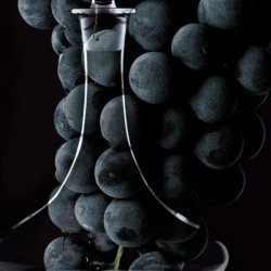 Decanter - Capitaine