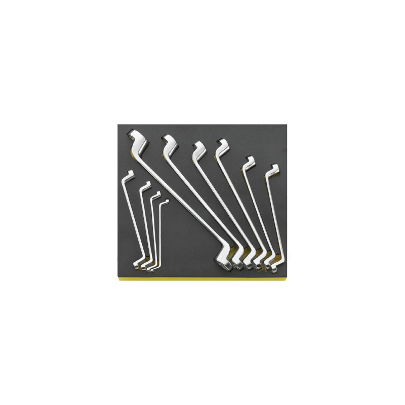 STAHLWILLE TCS 2/3 Tray System with Double Ended Ring Spanners nº 20 (10 un.)