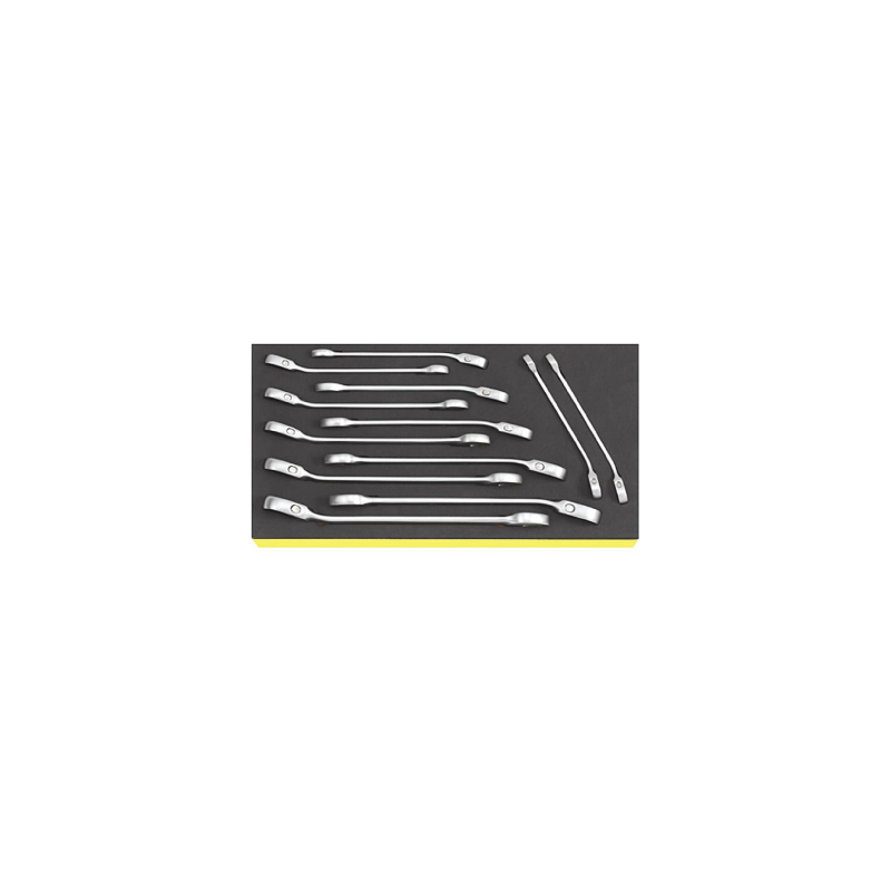 STAHLWILLE TCS 1/3 Tray System with Combination Ratcheting Spanners nº 17 (10 un.) STAHLWILLE TCS 1/3 Tray System with Combination Ratcheting Spanners nº 17 (10 un.)