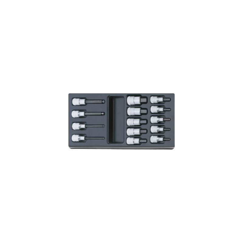 STAHLWILLE Tool 1/3 Tray System with INHEX Sockets (14 un.) STAHLWILLE Tool 1/3 Tray System with INHEX Sockets (14 un.)