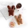 Rabbit-Shaped Mould (2Un)