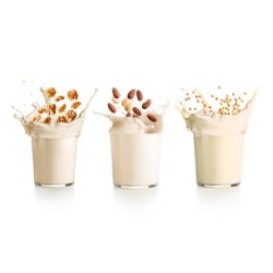 Garrafa para Preparar Leites Vegetais - Veggie Drinks Maker