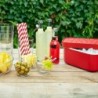 Cubitera - Ice Box