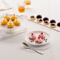 6 Semi-Sphere Mould