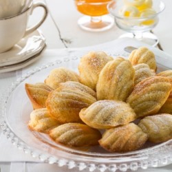 Mini Madeleines (20Cav.)