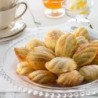 Mini Madalena Concha (20Cav.)